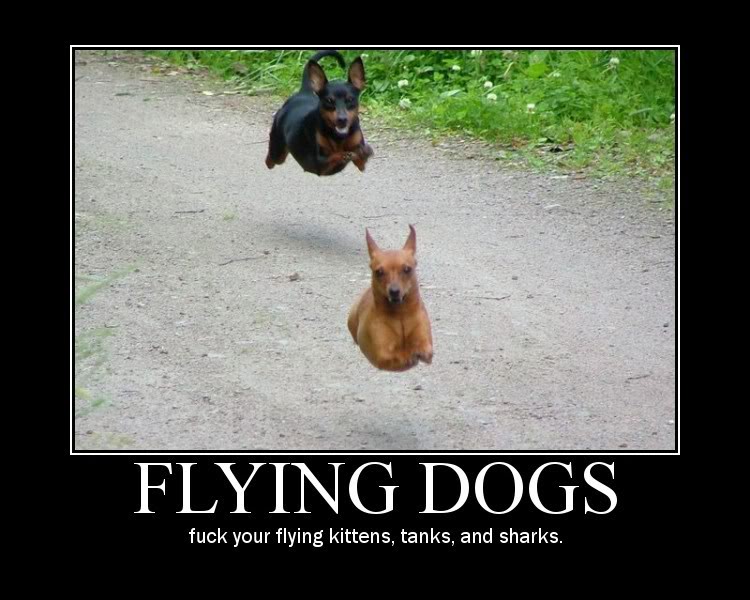 flyingdogs.jpg
