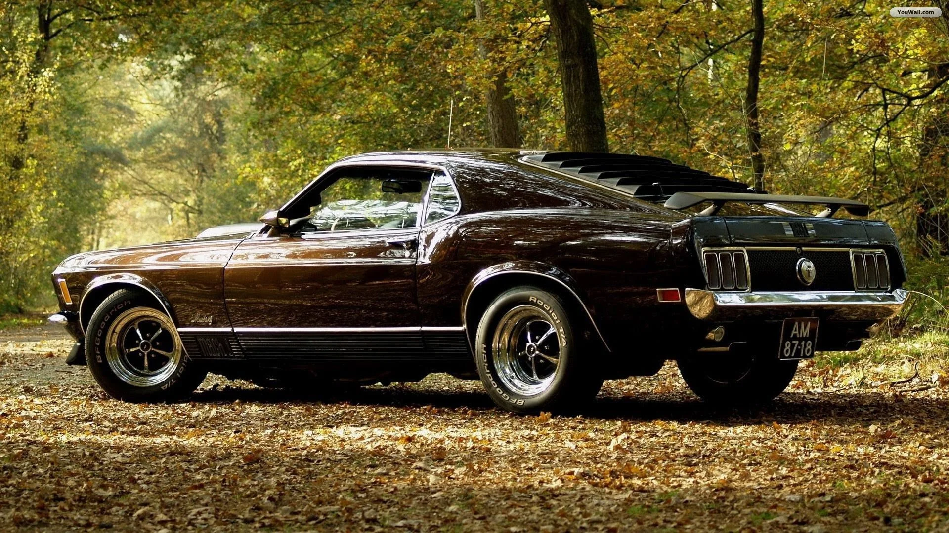 ford-mustang-wallpaper.webp