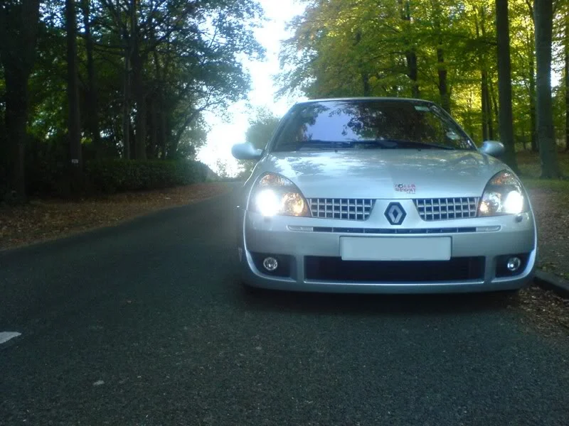 Forest2.webp