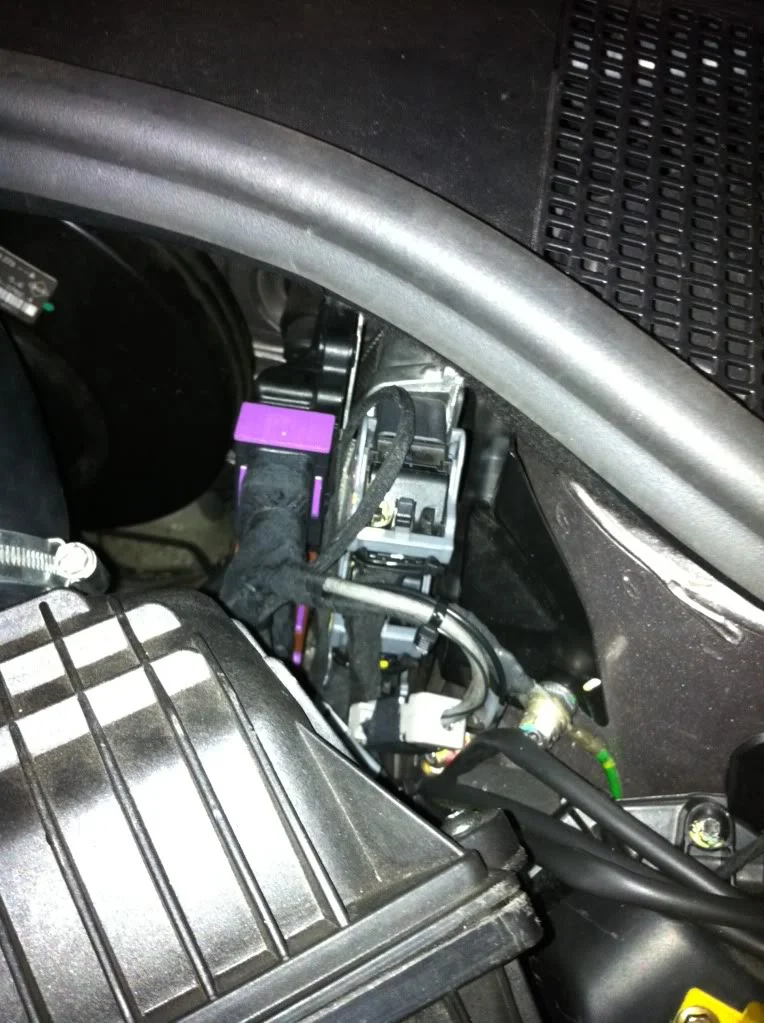 foto1-4.webp