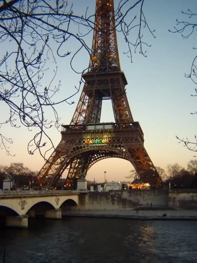 france003.webp