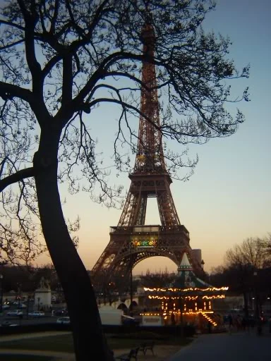 france005.webp