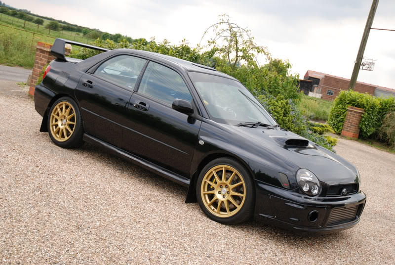 frayzWO.jpg frayzWO.jpg