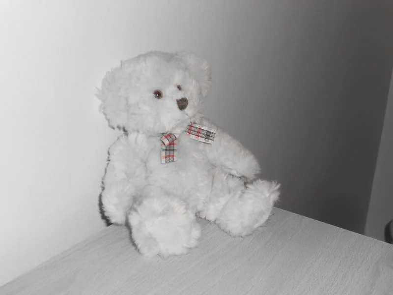 FSCN0053.webp