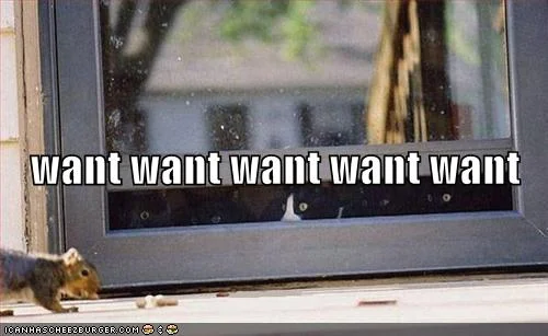 funny-pictures-cats-want-squirrel.webp
