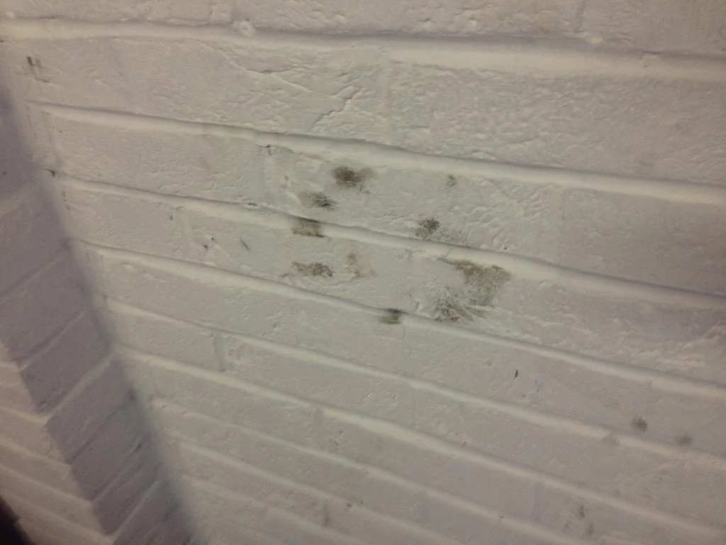 Garage3_zpsbc7045ef.webp