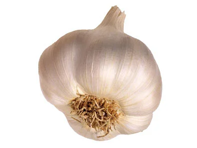 garlic_bulb.webp