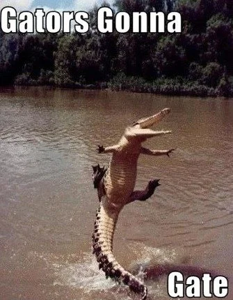Gators_3f3328_2954340.webp