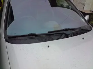 gaugemount002.webp