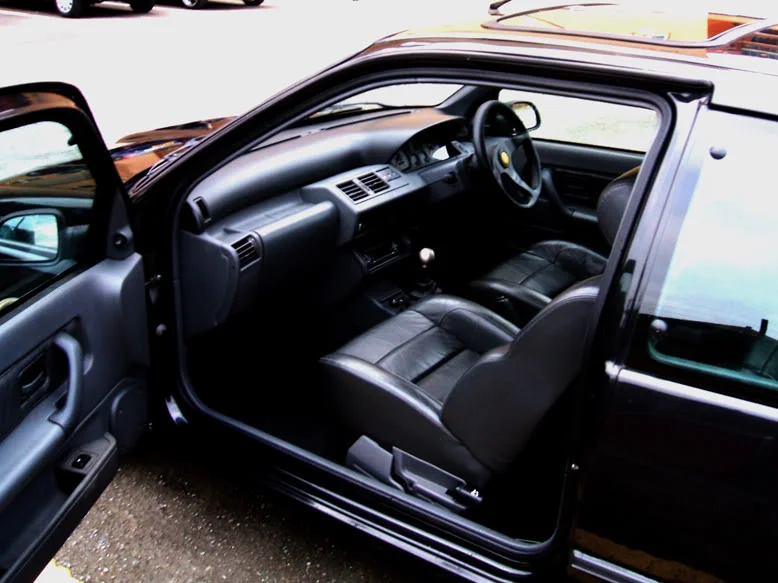 gavscar017small.webp