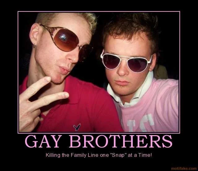 gay-brothers-demotivational-poster-1234046635.webp