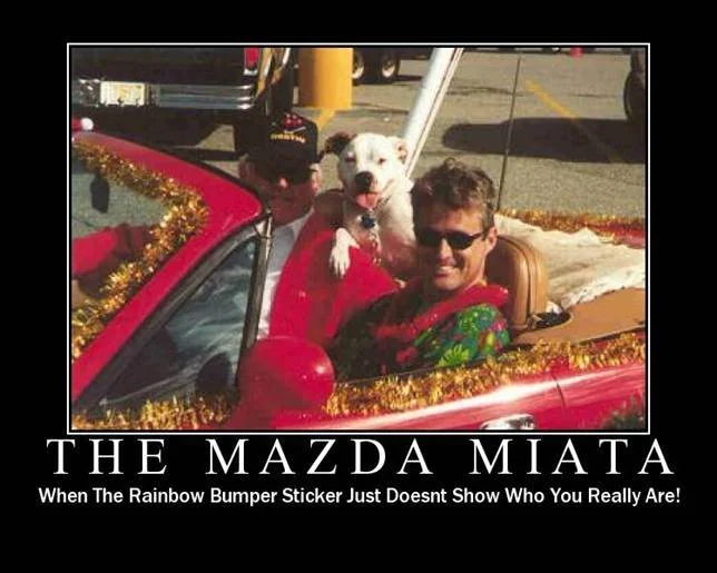 GayMiata.webp