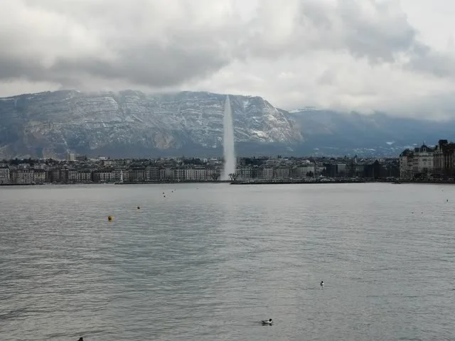 genevamarch08046640x480.webp
