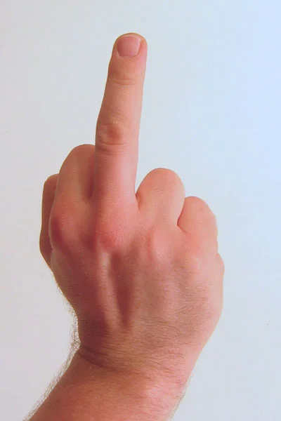 Gesture_raised_fist_with_middle_finger_lifted.webp