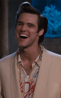 giphy-8.gif