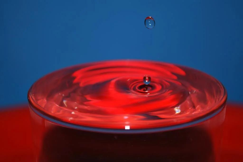 Goingin.webp