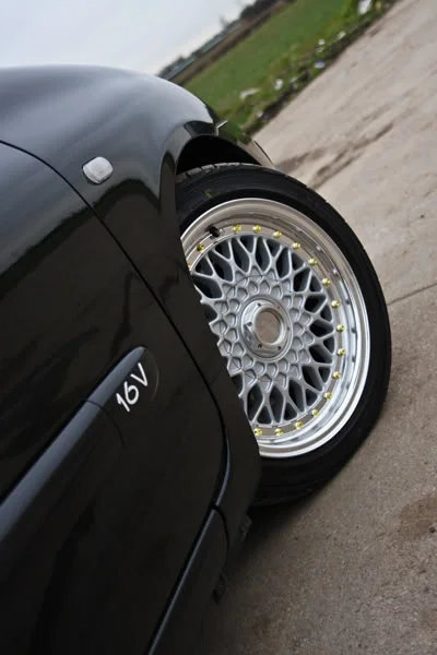 goldbolts.webp