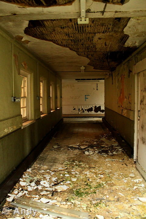 Graylingwell-18.jpg Graylingwell-18.jpg