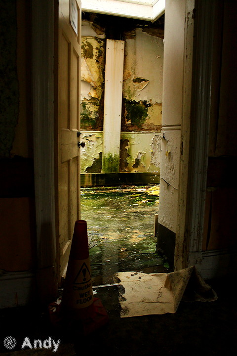 Graylingwell-19.jpg Graylingwell-19.jpg