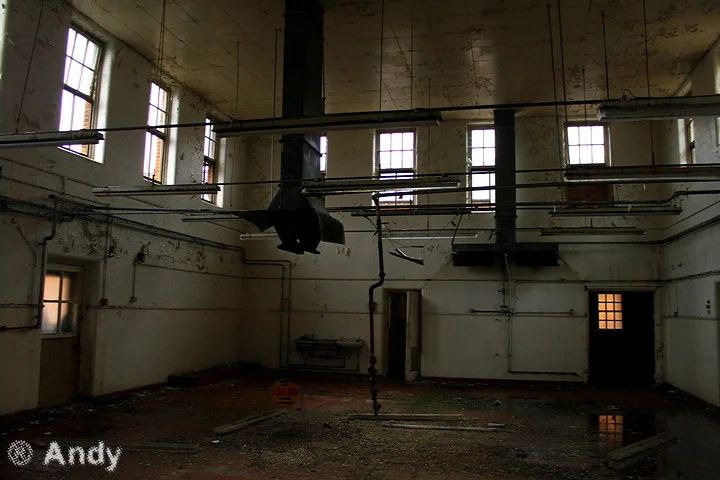 Graylingwell-23.webp