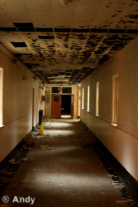 Graylingwell-31.jpg Graylingwell-31.jpg