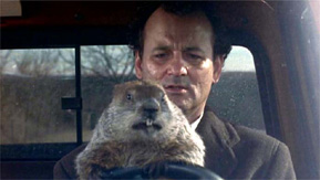 groundhog_day.jpg