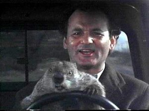 groundhog_day.jpg groundhog_day.jpg