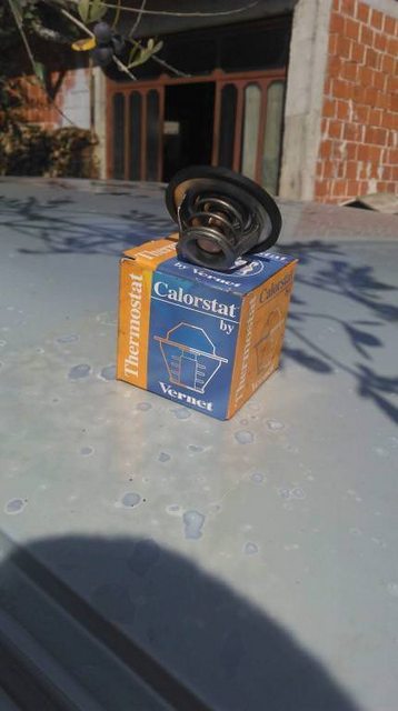GuPO8xzl.jpg