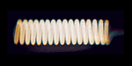 halogenfilament.gif
