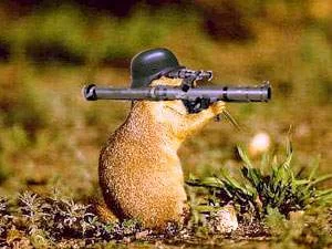 hamster.webp
