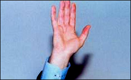 hand_wave_270.jpg