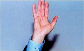 hand_wave_270.webp