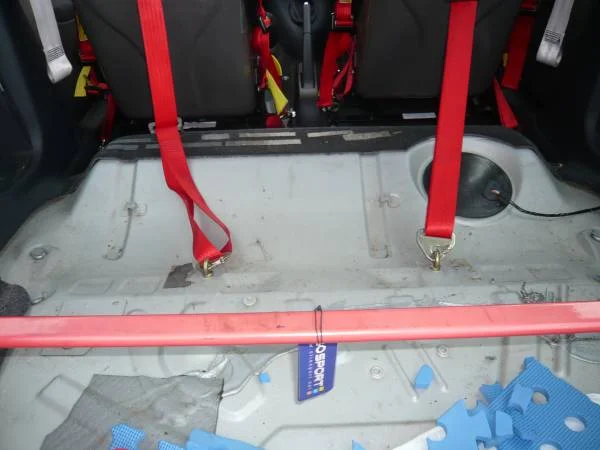 harnesses.webp