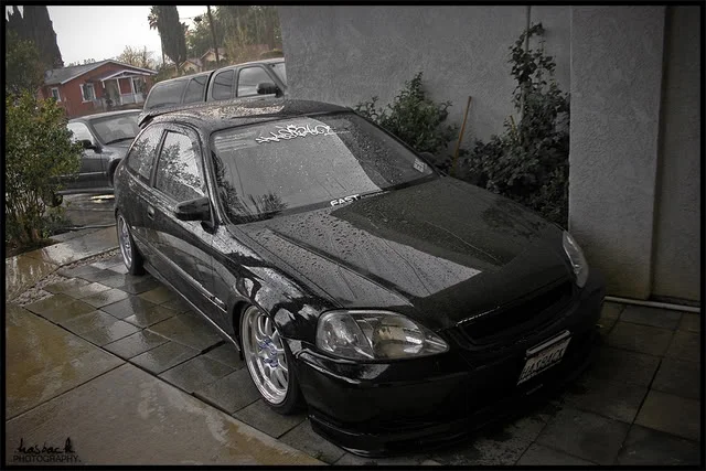 hasback10.webp