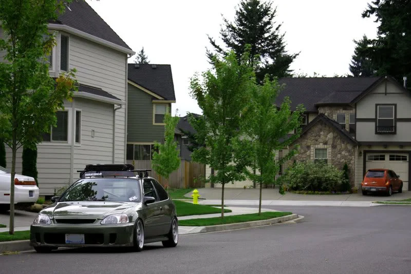 hatch10.webp