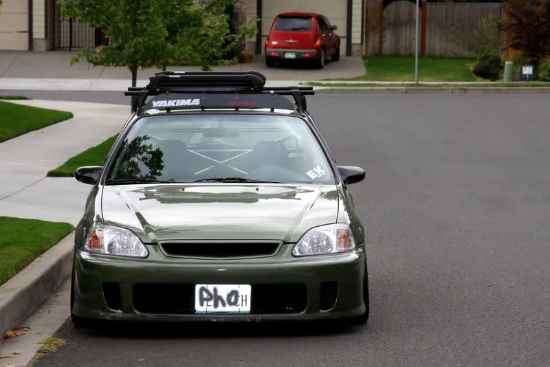 hatch11.webp