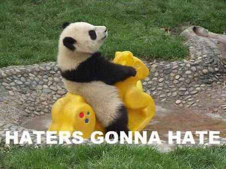 haters-gonna-hate-panda_medium.webp
