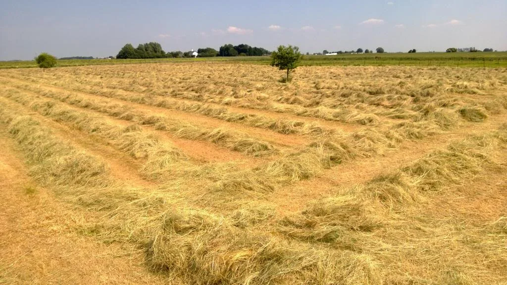 Hay2013_zps1b962179.webp