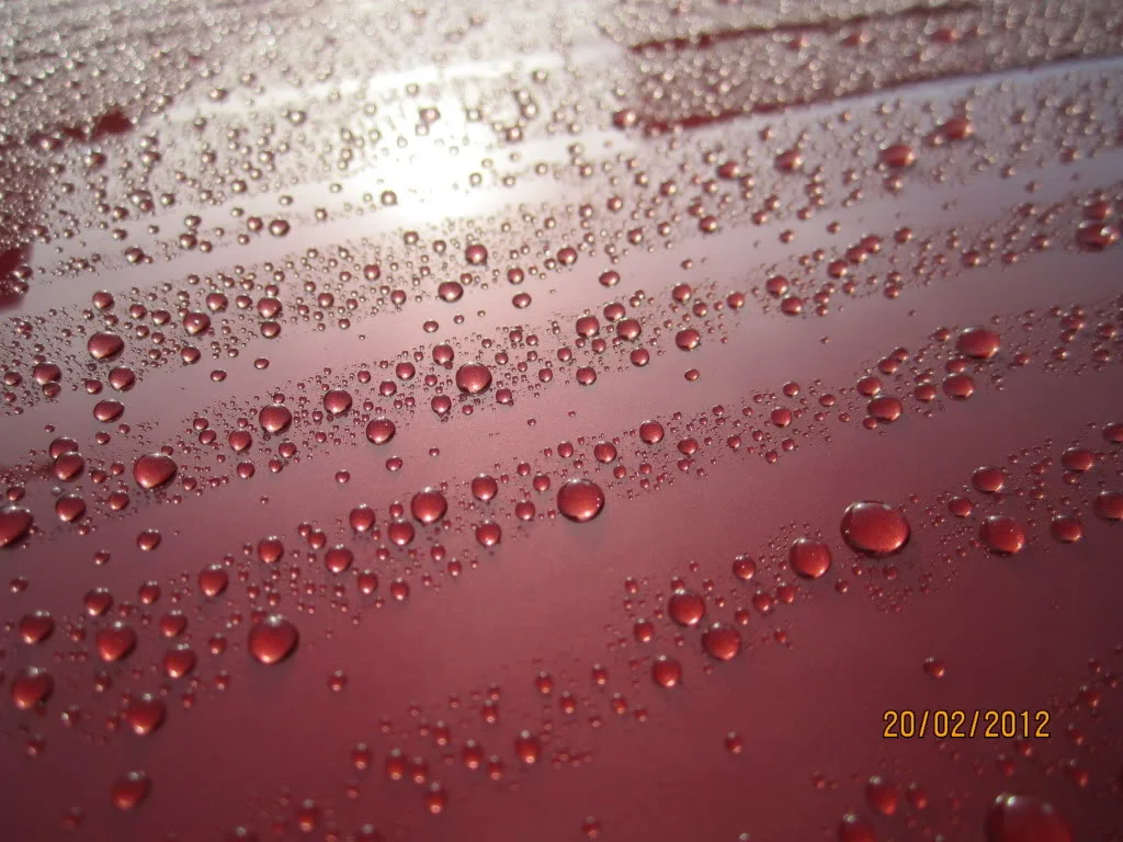 headlights012.webp