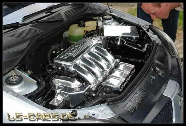 hermse12.webp