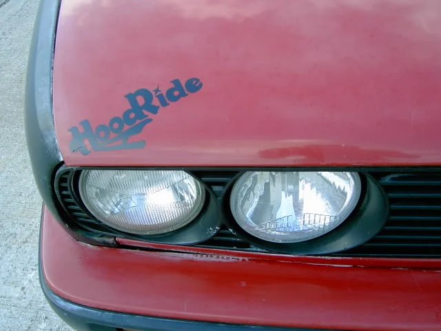 Hoddie01.webp