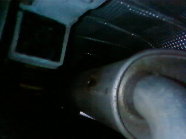 holeymoley.webp