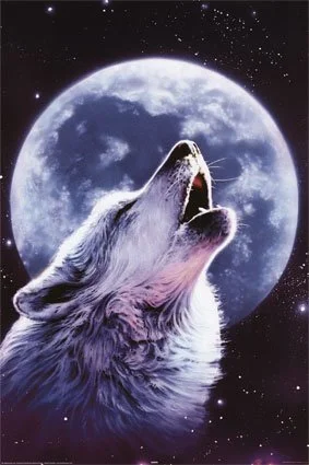 howling-wolf1.webp