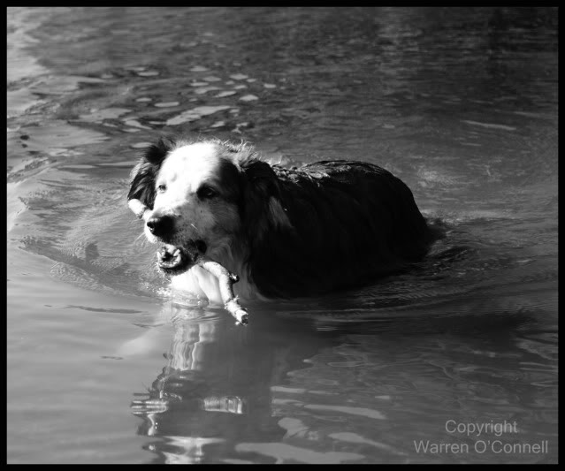 Hubbleswimbw.jpg