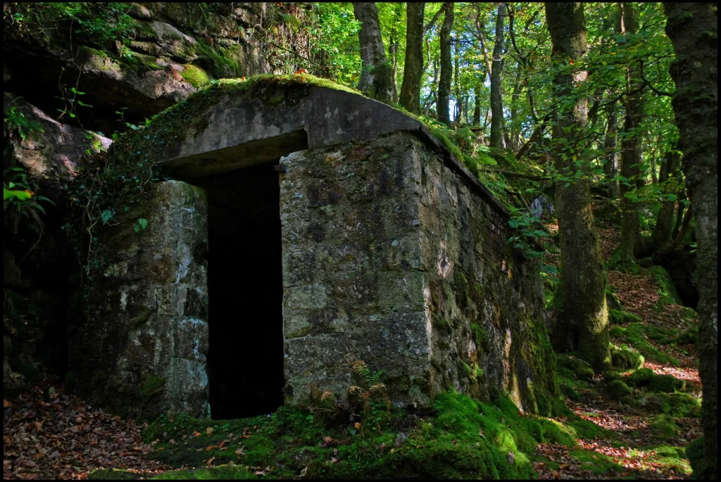 Hut.webp
