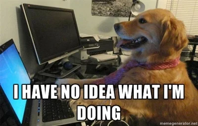 i-have-no-idea-what-im-doing-dog.webp