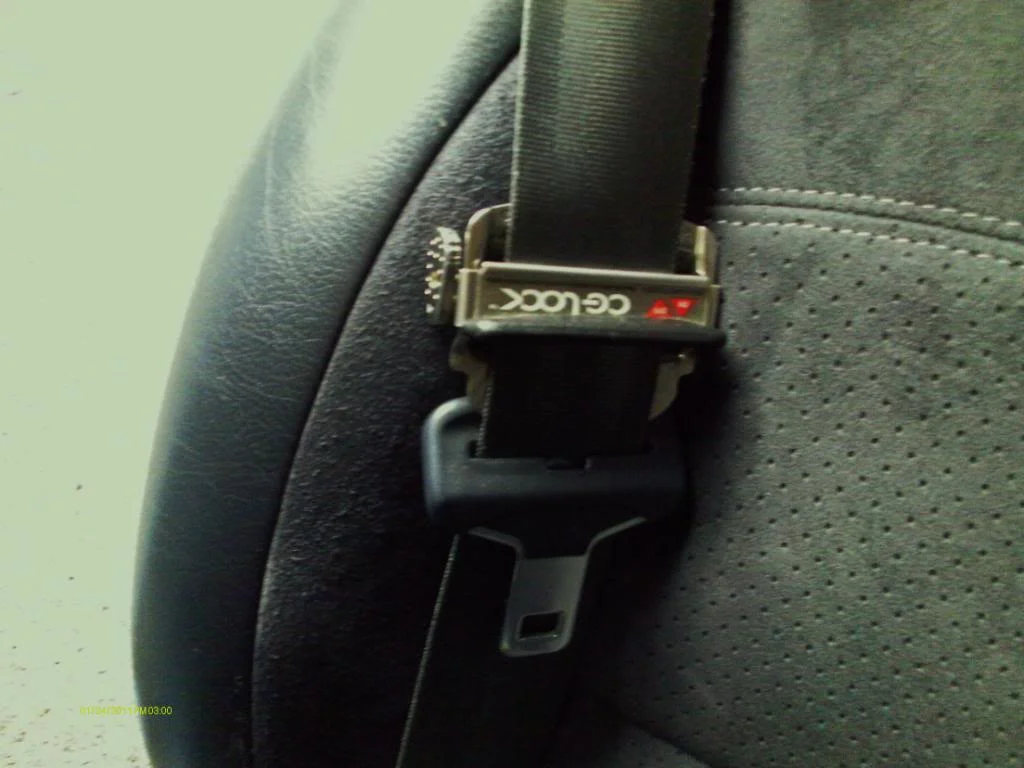 IMAG00042.webp