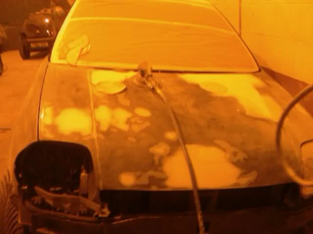 IMAG0017.webp