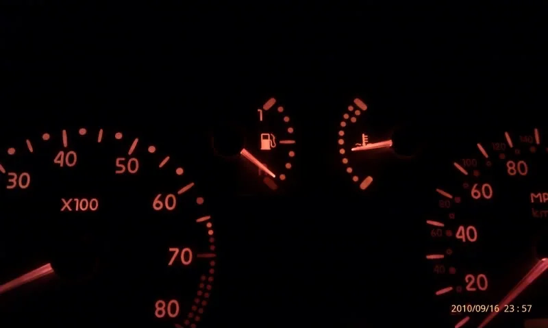 IMAG0031.webp