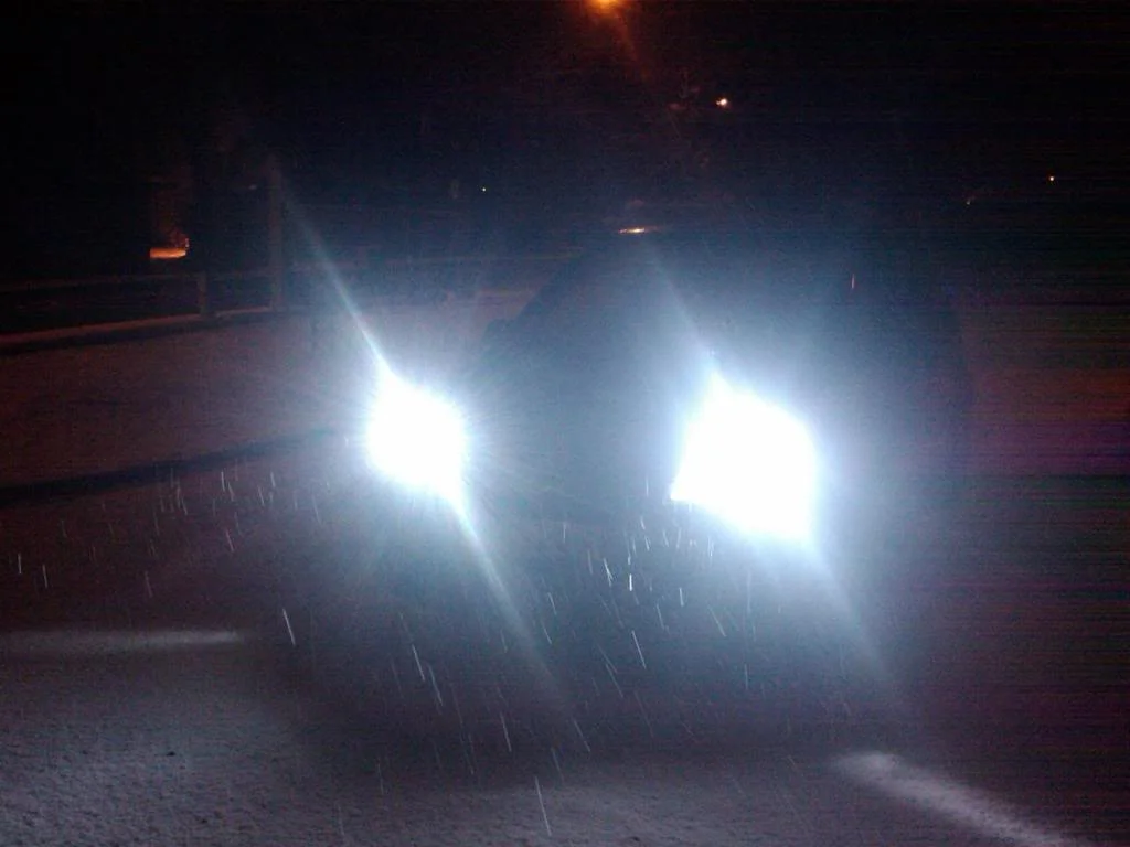 IMAG0035.webp